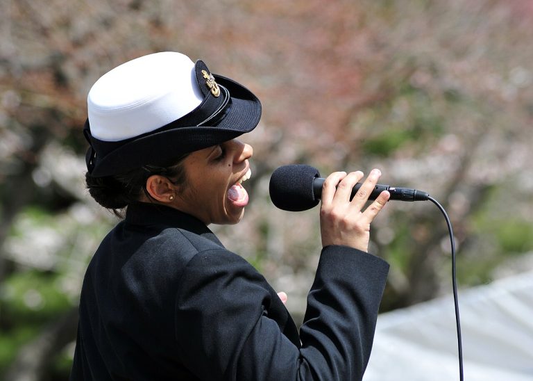 2026 진해군항제, 벚꽃과 군악이 만드는 봄의 향연