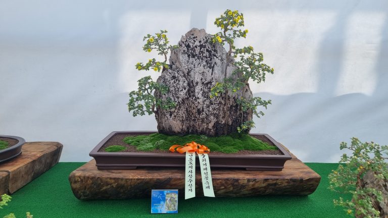 가을의 끝자락, 거제섬꽃축제가 다시 피어납니다