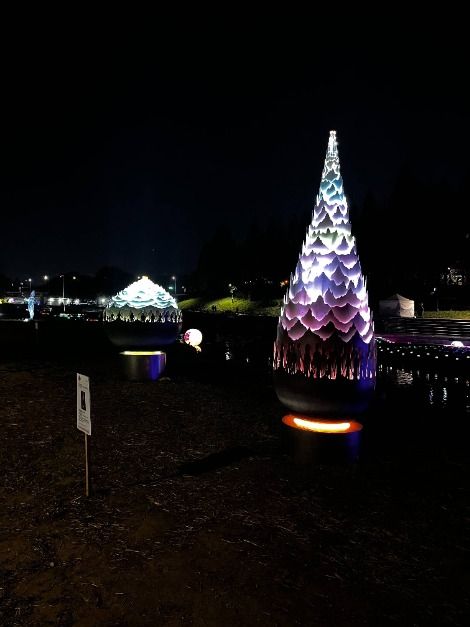 2026 양재천 벚꽃 등(燈) 축제, 봄밤을 수놓는 서울의 감성 산책로