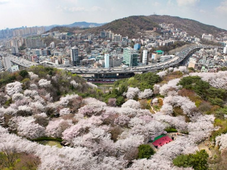 서울의 봄을 가장 먼저 만나는 곳, 2026 서대문 봄빛축제