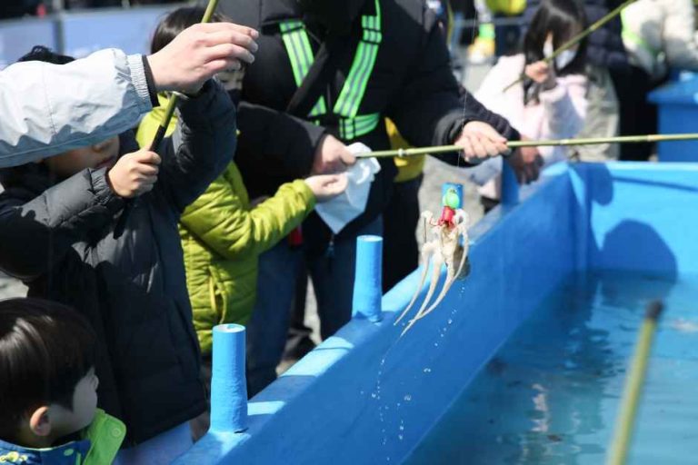 봄바다와 붉은 동백이 만나는 서천 주꾸미 축제, 2026 일정과 즐길 거리
