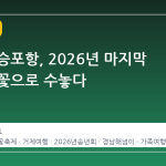 거제 장승포항, 2026년 마지막 밤을 불꽃으로 수놓다