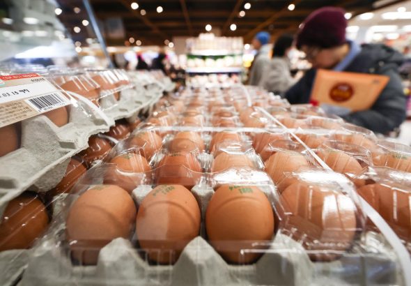 계란값 급등에 정부, 산란계 사육 확대…일일 생산량 5000만개에서 5500만개로 상향