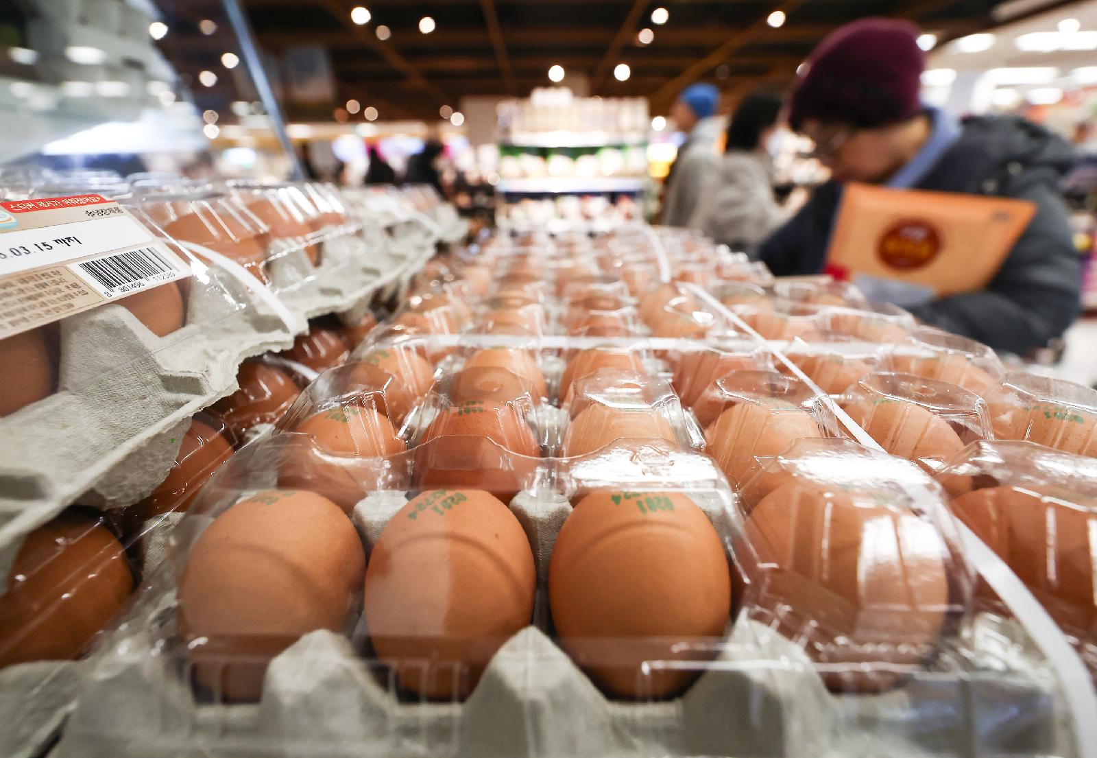 계란값 급등에 정부, 산란계 사육 확대…일일 생산량 5000만개에서 5500만개로 상향