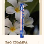 900원에 만나는 자연의 숨결, 나그참파 인센스 스틱이 커뮤니티를 뜨겁게 하는 이유