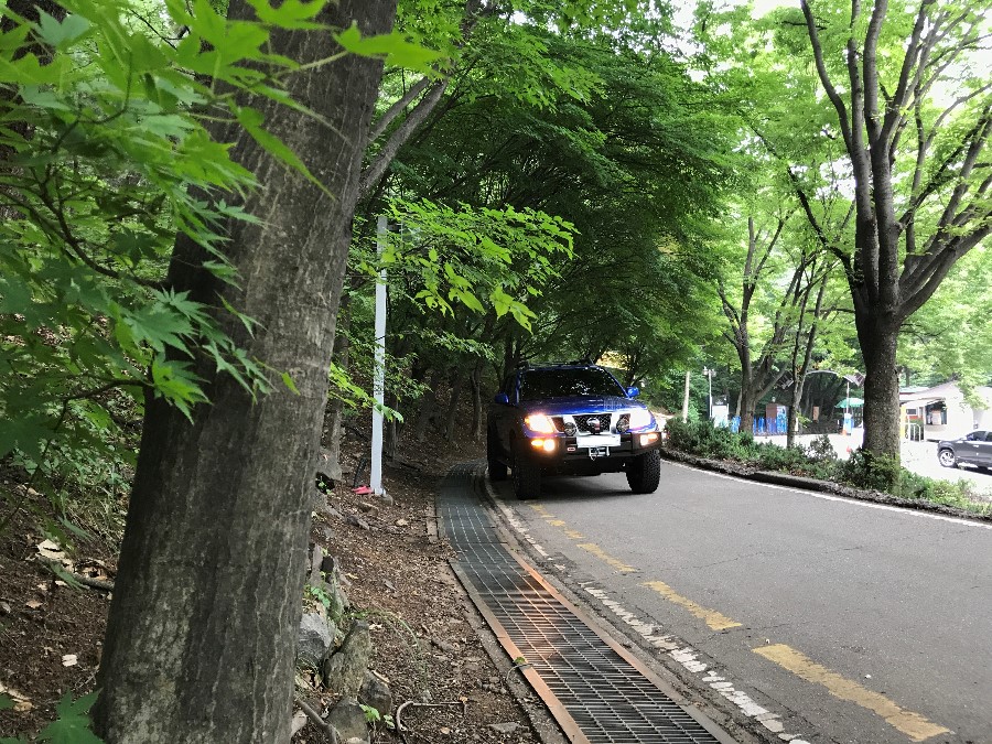 니산 Xterra 부활, 왜 지금 오프로더 열풍이 다시 불고 있는가