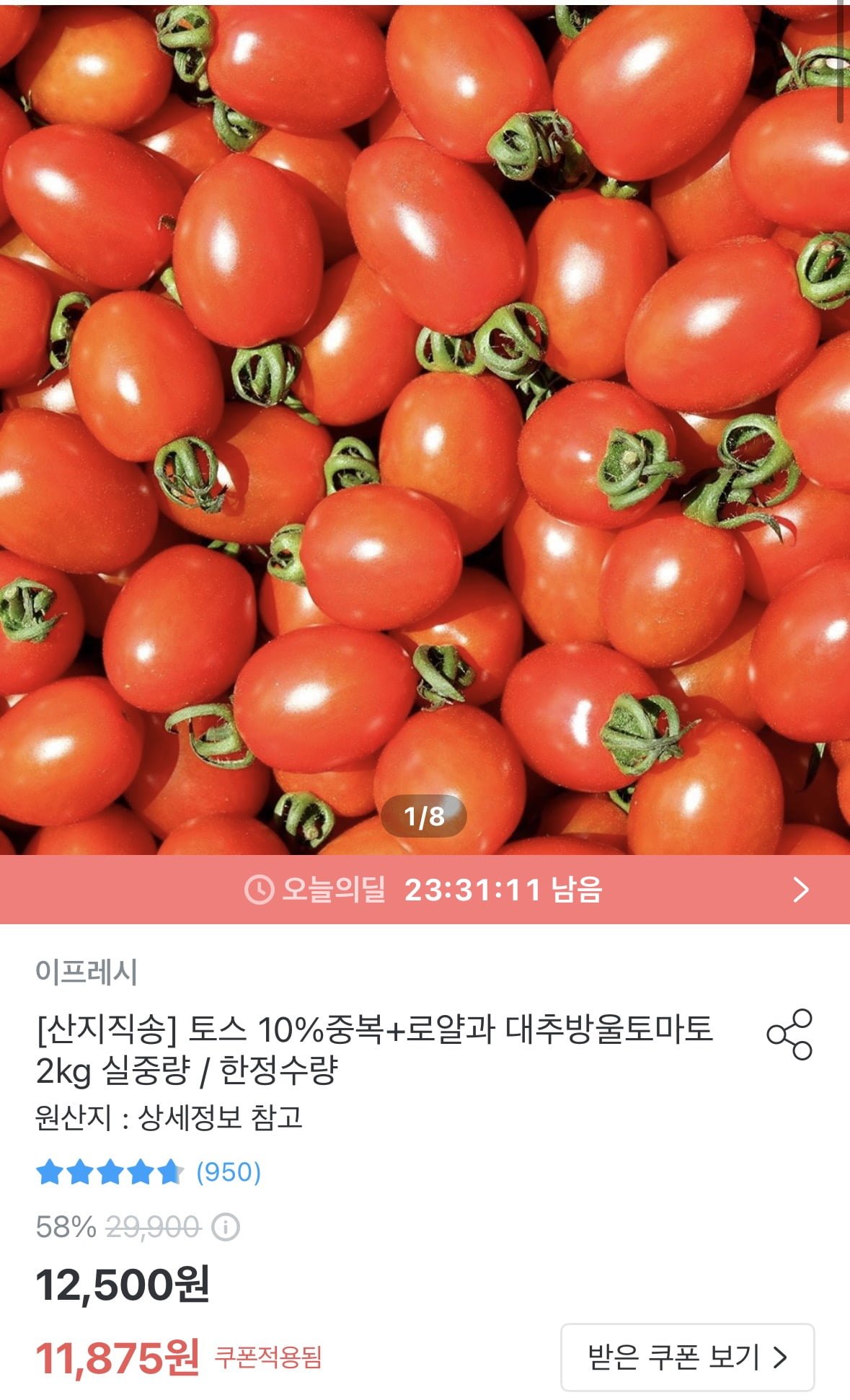 오늘의집 대추방울토마토, 1만 원대 로얄과가 커뮤니티를 뜨겁게 만든 이유
