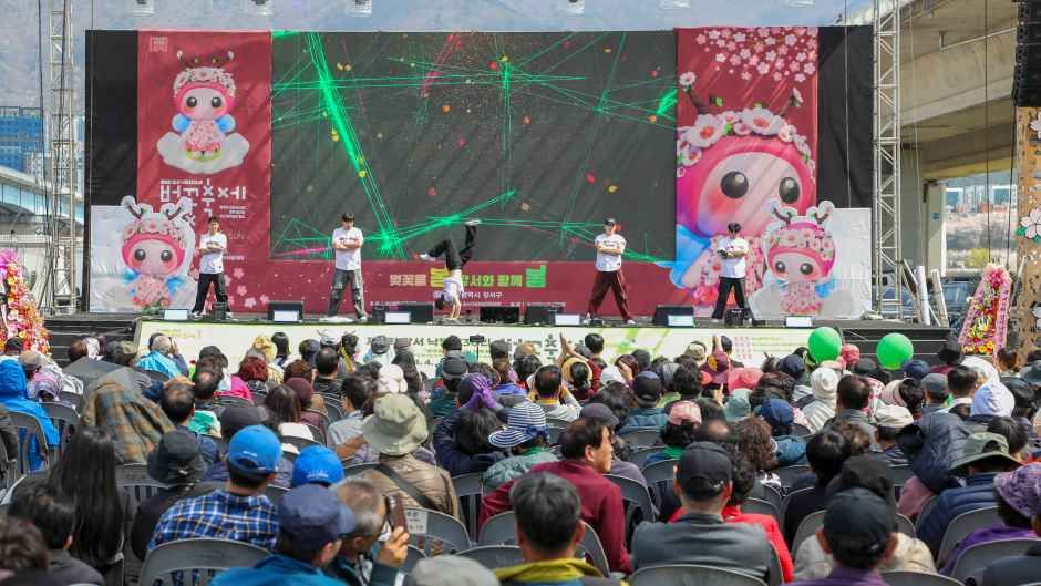 봄의 시작, 낙동강변에서 만나다. 2026 강서 낙동강 30리 벚꽃축제 현장 미리보기