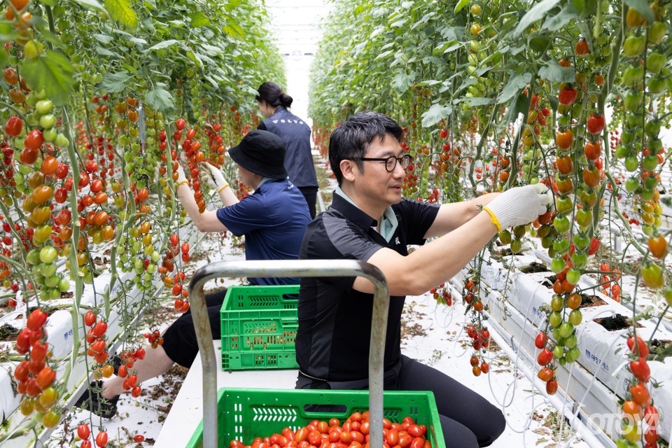 볼보자동차의 '스마트팜' 봉사, 왜 자동차 업계의 새로운 화두가 되는가