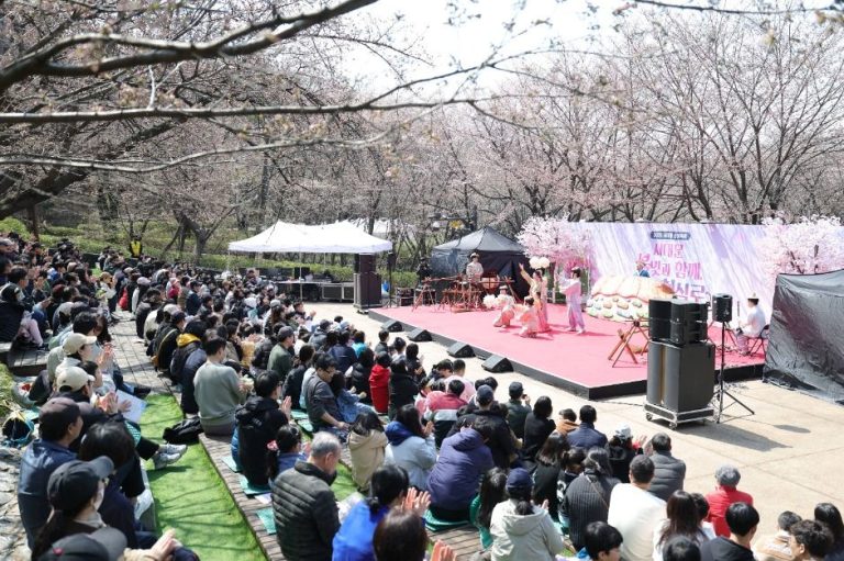 서대문구 모래내로, 3000 그루의 벚꽃과 수변 감성을 만나다