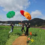 내성천이 그리는 황금 물결, 2026 회룡포 봄나들이 축제