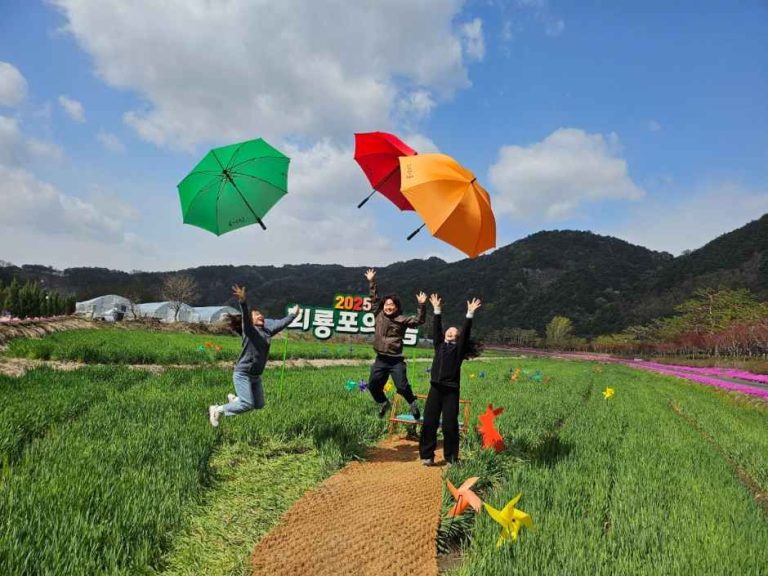 내성천이 그리는 황금 물결, 2026 회룡포 봄나들이 축제