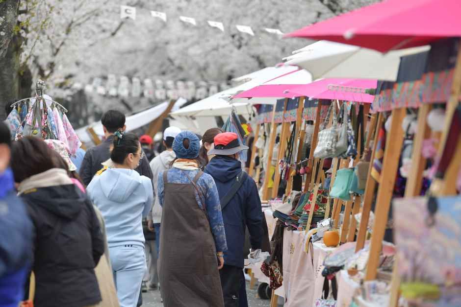 벚꽃이 피는 경주 대릉원 돌담길, 2026 봄 축제의 모든 것
