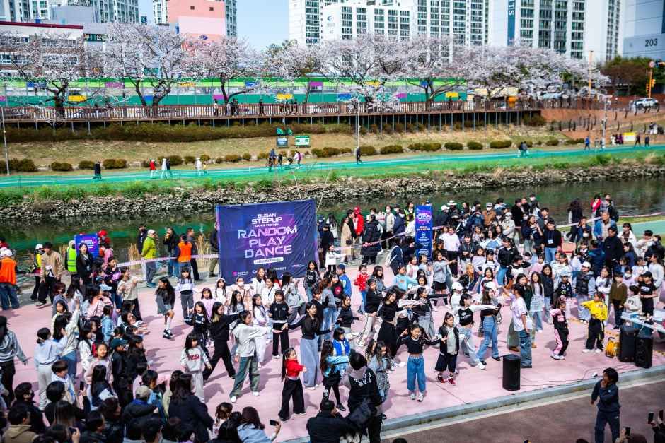 역사와 벚꽃이 만나는 봄의 판타지, 제7회 연제고분판타지축제 현장 미리보기