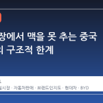 독일 시장에서 맥을 못 추는 중국 전기차의 구조적 한계