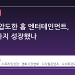 극장을 압도한 홈 엔터테인먼트, 왜 8배까지 성장했나