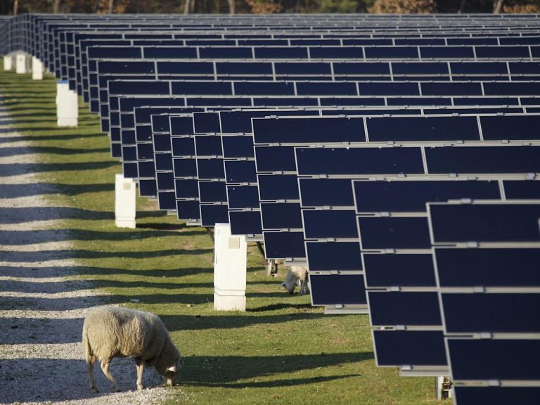 독일 전력 가격이 마이너스로? 재생에너지 폭증과 수요 부재의 충돌