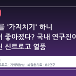 뇌 회로를 '가지치기' 하니 기억력이 좋아졌다? 국내 연구진이 쏘아올린 신트로고 열풍