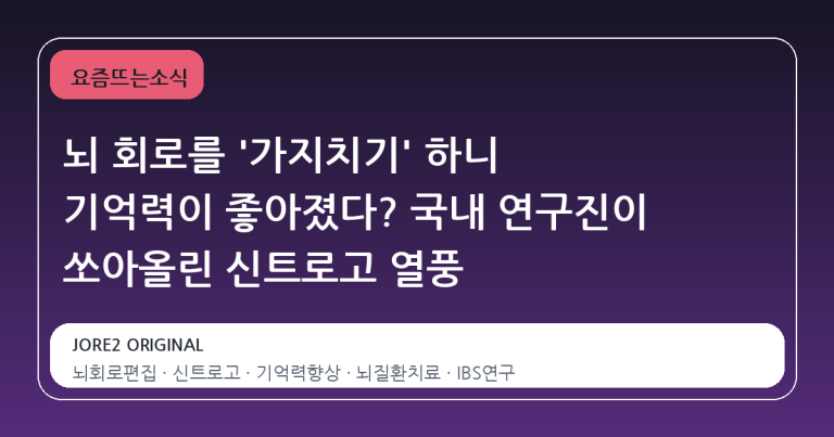 뇌 회로를 '가지치기' 하니 기억력이 좋아졌다? 국내 연구진이 쏘아올린 신트로고 열풍