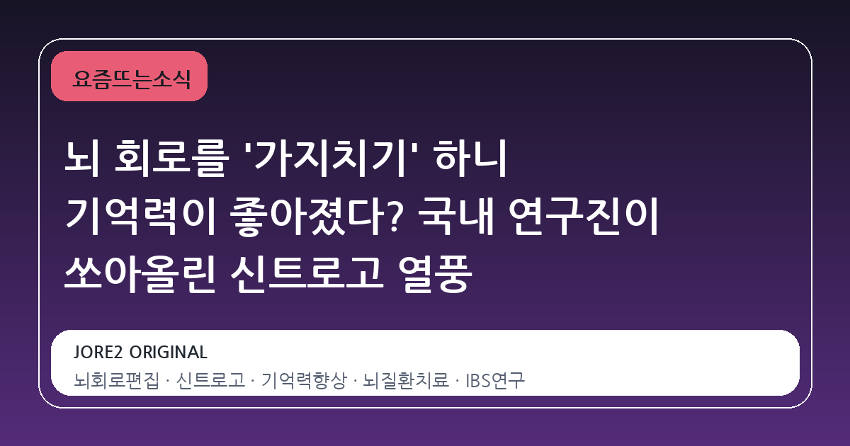 뇌 회로를 '가지치기' 하니 기억력이 좋아졌다? 국내 연구진이 쏘아올린 신트로고 열풍