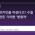 연어가 코카인을 마셨다고? 수질 오염이 만든 기이한 '방랑자' 현상