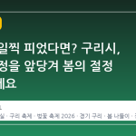 벚꽃이 일찍 피었다면? 구리시, 축제 일정을 앞당겨 봄의 절정 만끽하세요