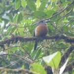 일상의 자연 관찰이 과학 데이터가 되는 시대, iNaturalist가 주목받는 이유