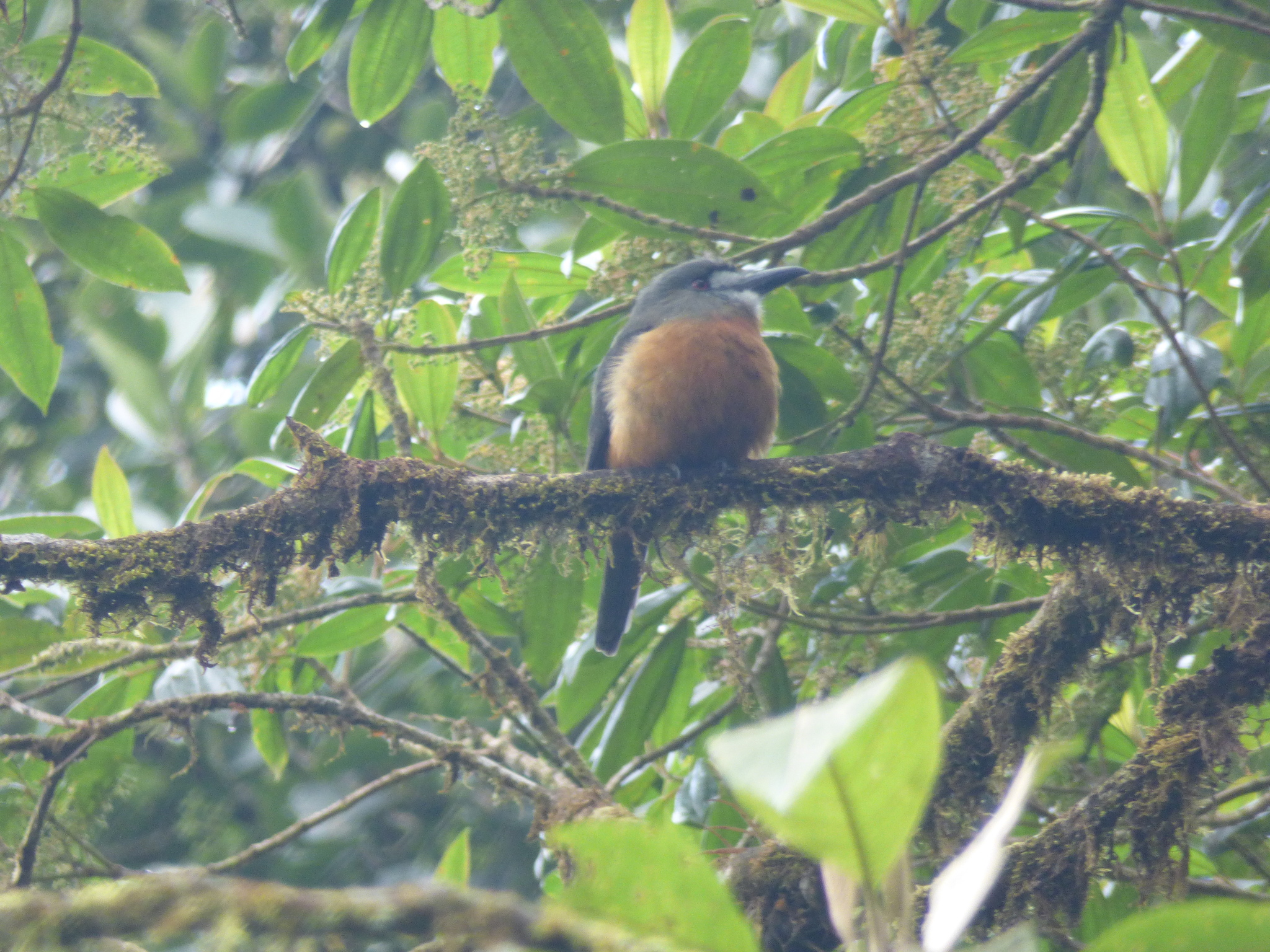 일상의 자연 관찰이 과학 데이터가 되는 시대, iNaturalist가 주목받는 이유