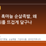 11 번가 흑마늘 순살족발, 왜 커뮤니티를 뜨겁게 달구나