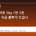 완숙 토마토 5kg 1만 3천 원대, 왜 지금 뽐뿌가 뜨겁나