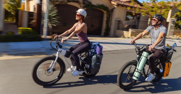 무게의 역설: 25kg의 자전거가 225kg을 나르는 이유