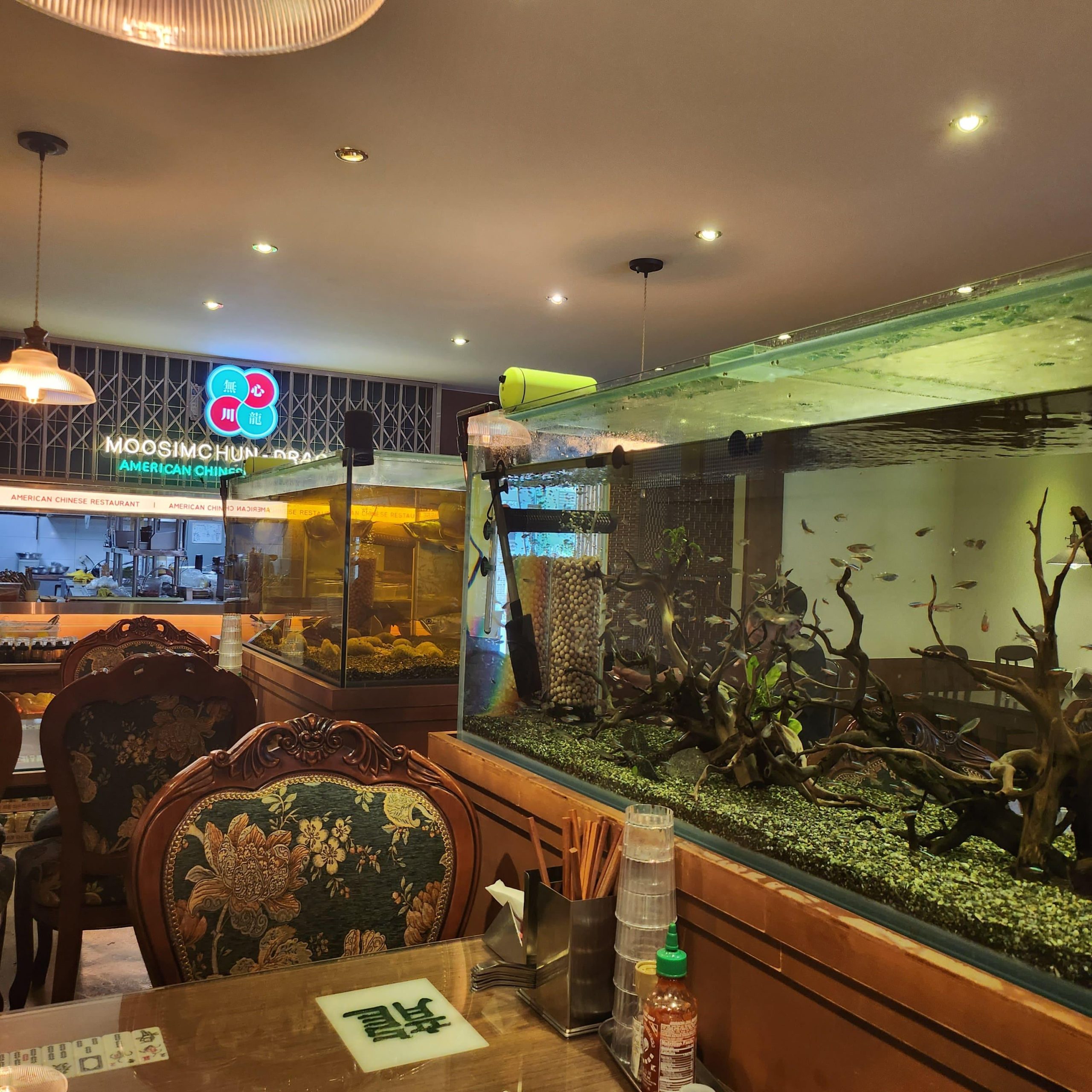 충북 청주, 미국식 퓨전 중식의 새로운 기준 무심천드래곤