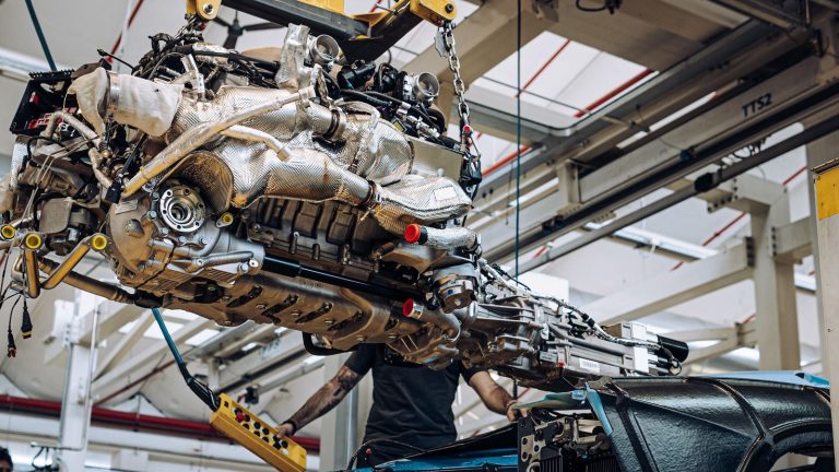 멸종 위기 V12, 왜 다시 주목받는가