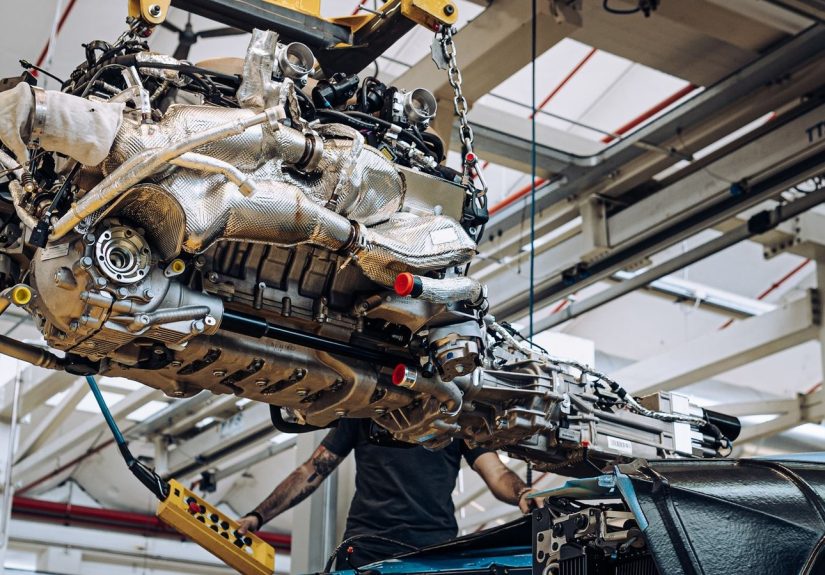 멸종 위기 V12, 왜 다시 주목받는가