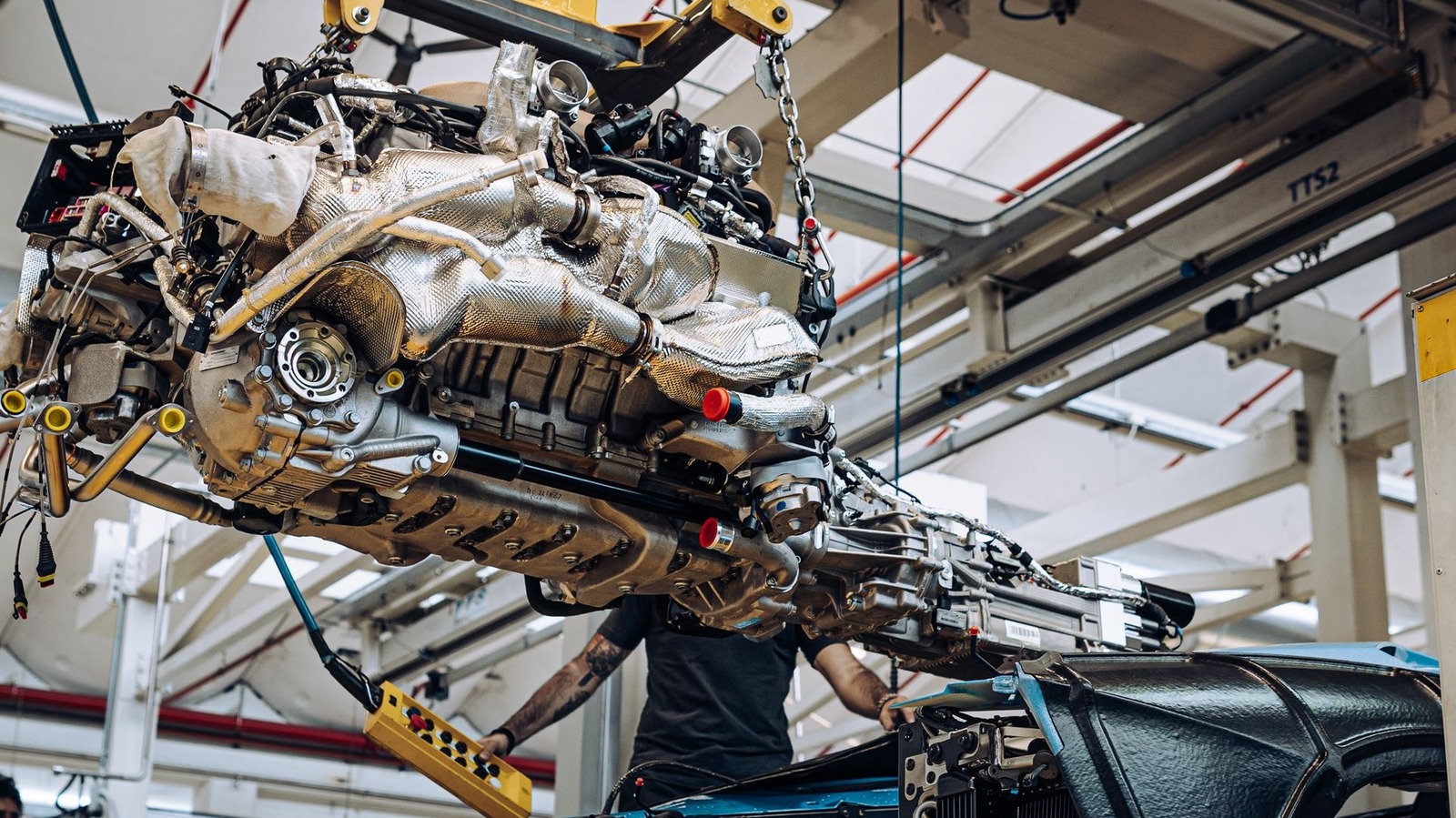 멸종 위기 V12, 왜 다시 주목받는가