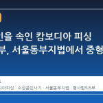 소상공인을 속인 캄보디아 피싱 조직 간부, 서울동부지법에서 중형 선고