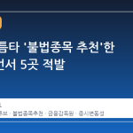 변동성 틈타 '불법종목 추천'한 핀플루언서 5곳 적발