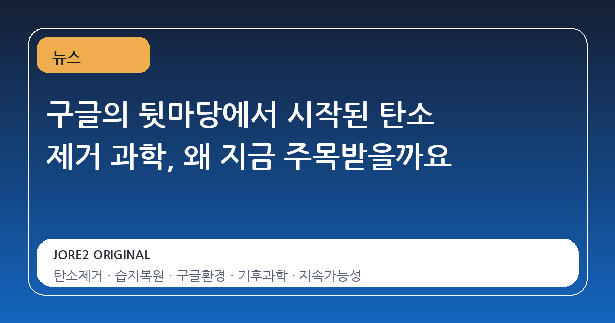 구글의 뒷마당에서 시작된 탄소 제거 과학, 왜 지금 주목받을까요