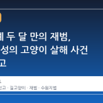 집행유예 두 달 만의 재범, 30대 남성의 고양이 살해 사건 실형 선고