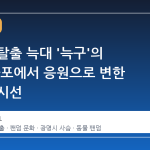 동물원 탈출 늑대 '늑구'의 여정, 공포에서 응원으로 변한 시민의 시선