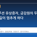 한화솔루션 유상증자, 금감원의 두 번째 손길이 멈추게 하다