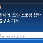 가세연 김세의, 쯔양 스토킹·협박 혐의로 불구속 기소