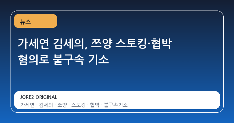 가세연 김세의, 쯔양 스토킹·협박 혐의로 불구속 기소