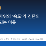 유전자 가위의 '속도'가 진단의 정답이 되는 이유