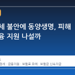 중동 정세 불안에 동양생명, 피해 고객 금융 지원 나설까