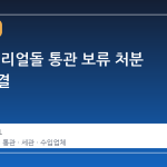 대법원, 리얼돌 통관 보류 처분 취소 판결