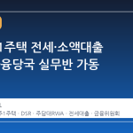 비거주 1주택 전세·소액대출 규제, 금융당국 실무반 가동