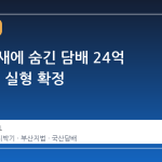 합판 틈새에 숨긴 담배 24억 원, 형제 실형 확정