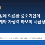 정부 지원에 의존한 중소기업의 성장 한계와 자생력 확보의 시급성