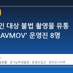 가족·연인 대상 불법 촬영물 유통 사이트 'AVMOV' 운영진 8명 적발